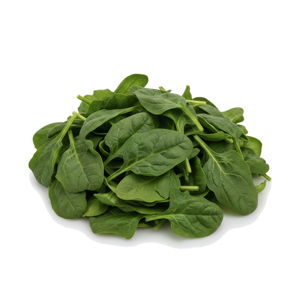 Verdant Mill Baby Spinach, loose