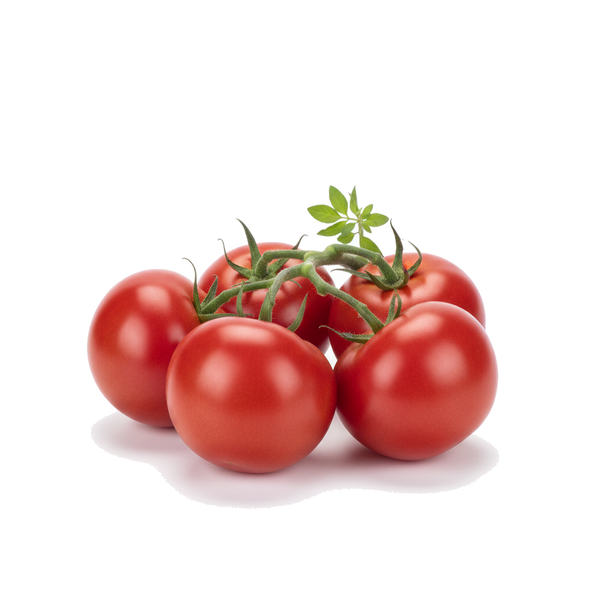 Verdant Mill Vine Tomatoes, loose