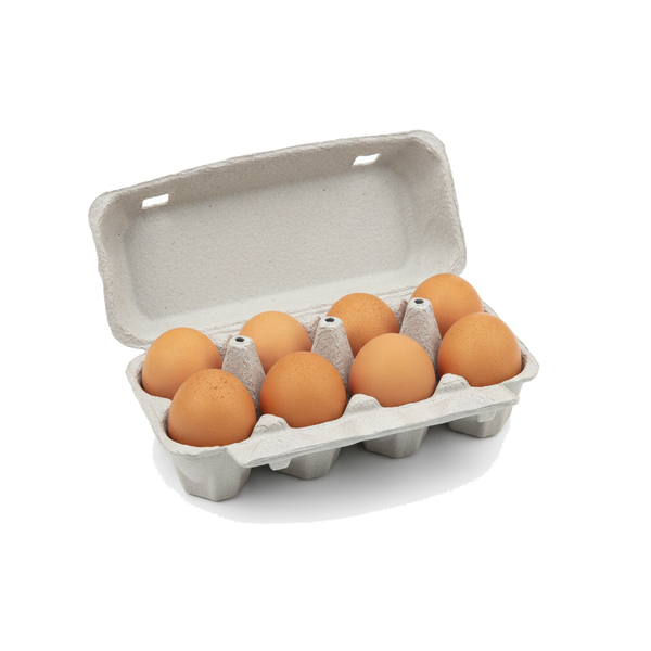 Meadowturn Dairy Free-Range Eggs, 10-pack
